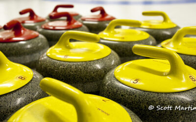 A Curling Rink, Lots Of Fun, No Birds