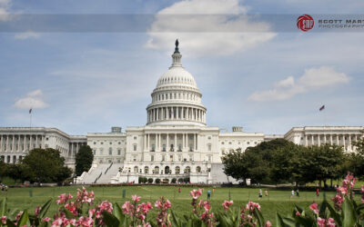 The Capitol Building, Washington DC